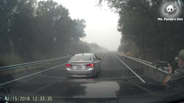 Officer Dog Down (Fatal OIS Of GD Hendrix) | Dash Cam | United States | 20181115