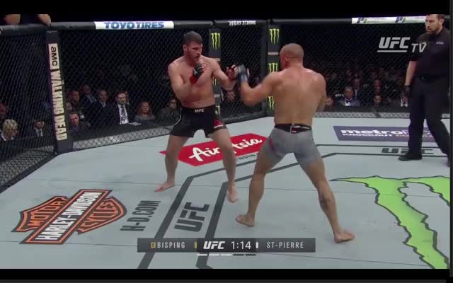 GSP vs. Bisping | Finish