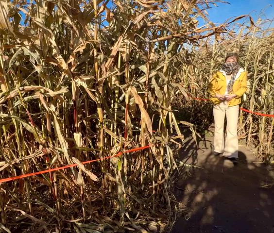 Flashing my titties in the corn maze!