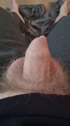 Foreskin Hairy Penis Precum gif