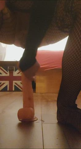 Anal Chastity Dildo Sissy gif