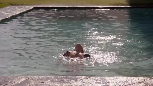 Camilla Luddington in the TV series: Californication [gif]