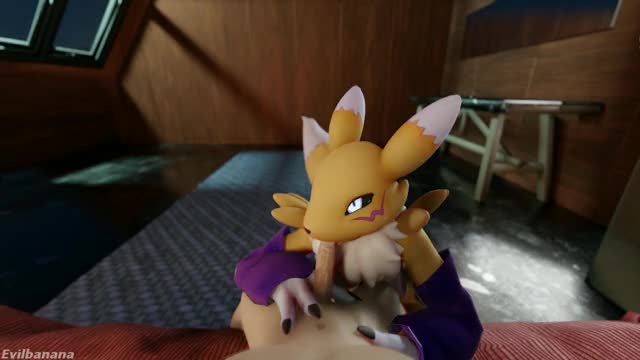 Renamon blowjob