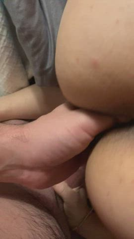 amateur ass pussy gif