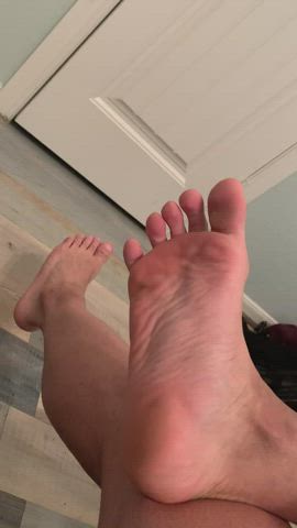 feet feet sucking fetish gif