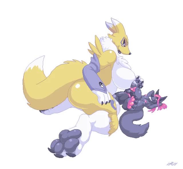 [H/M] Renamon knotting and cumflating (SesVanbrubles)