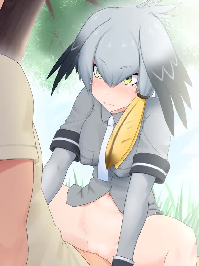 Shoebill