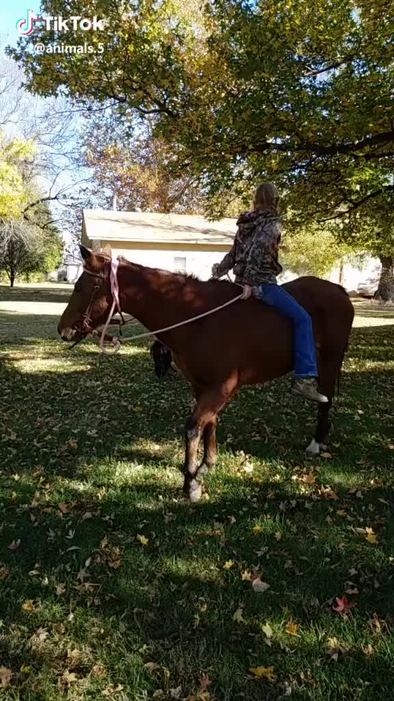 Ever seen a girl riding a horse backwards!! Comment If you dare me to do this in