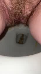 Ass Hairy Toilet gif