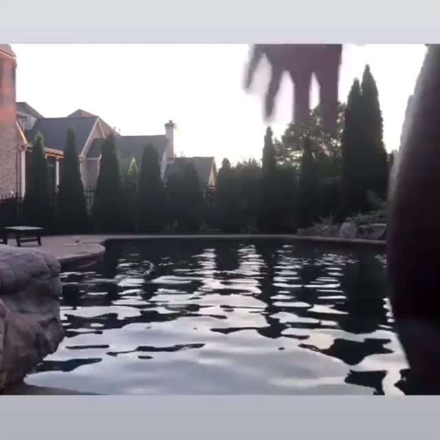 Bikini Pool gif