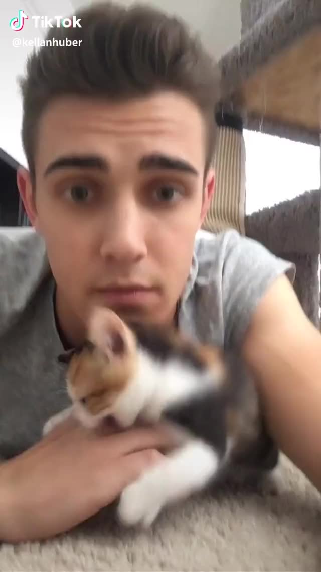 Firrrrrrrst Tim Took—— #kitten #firstvideo #firstpost #firsttiktok #cutekitty