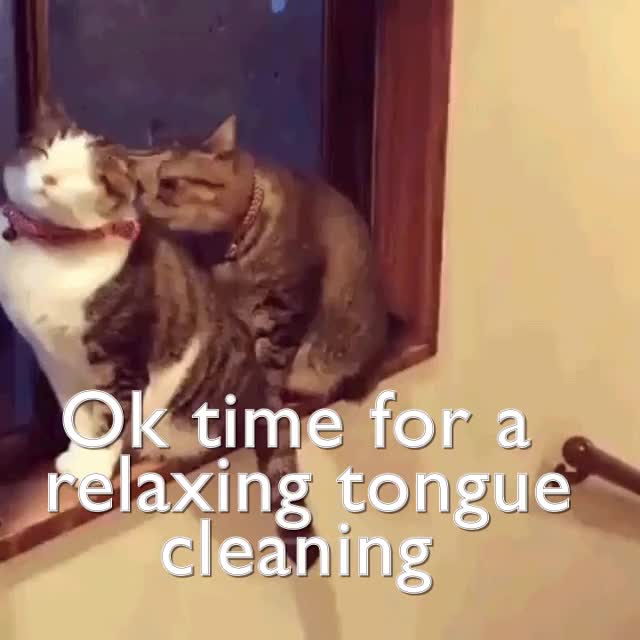 Now it's time for a relaxing tongue cleaning.