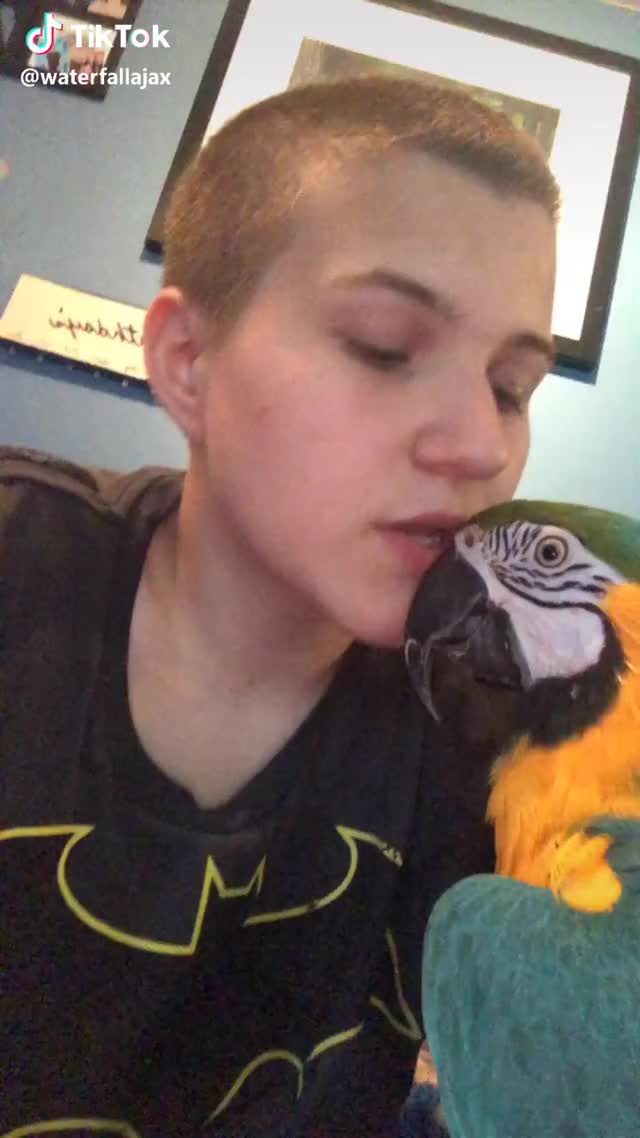 I feel violated. #macaw #parrot #bird #funny #pleasegetmefamousimdesperat #Nohomo