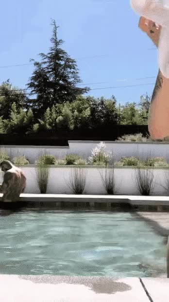 Dani pool gif