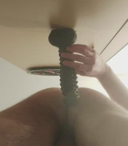 Anal Bisexual Dildo gif