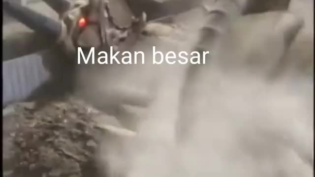 Me ketika buka puasa