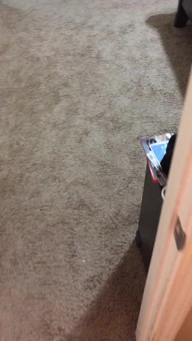 I always obey daddy. Always. [FM] (better with sound on)