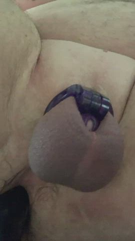 chastity dildo fucking machine gif