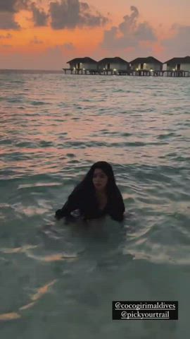 beach bikini celebrity desi indian legs sensual tamil gif