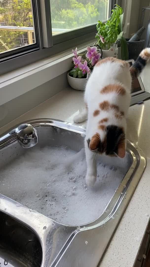 Bubble taps!