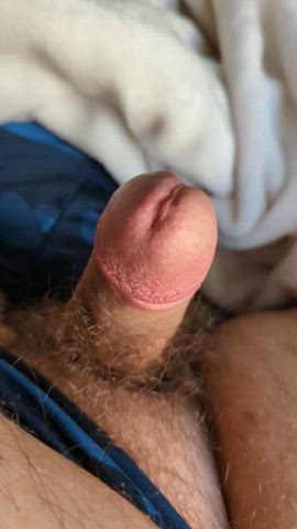 bear cumshot hairy cock male masturbation gif