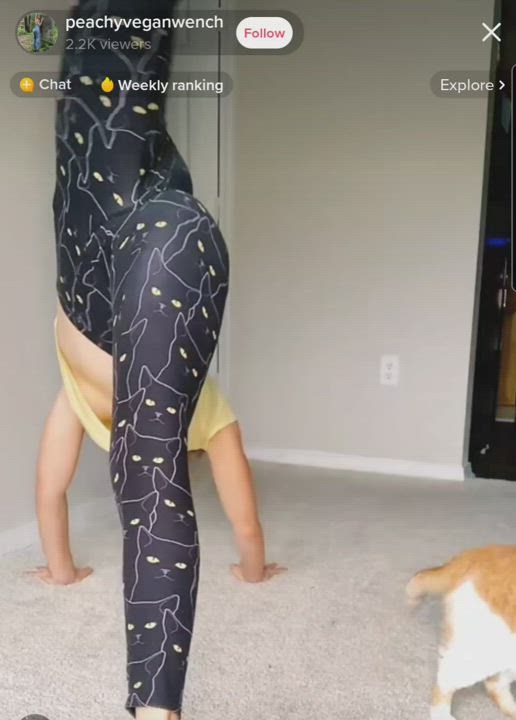 NSFW TikTok Yoga Pants gif