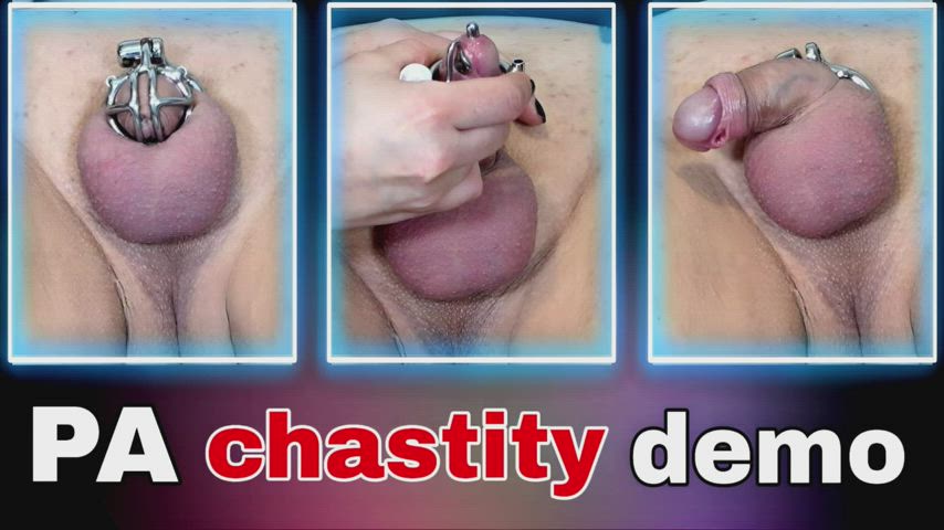 chastity femdom slave gif