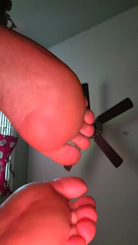 feet feet fetish foot worship gif