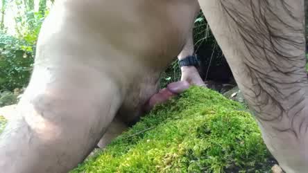 Rubbing the moss... nature is so exciting. Cumming in nature.