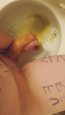 masturbating teen toilet gif