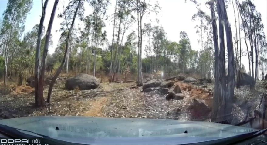 We recorded a session on our dashcam on an off-road trail. You can hear her squirt