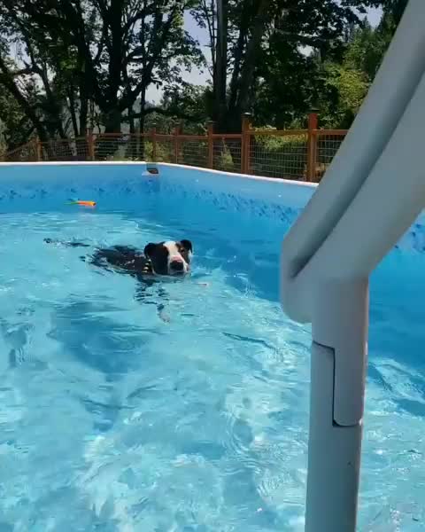 waterzooms