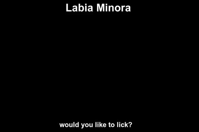 Labia Minora