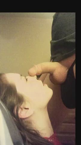 blowjob cock sucking gif