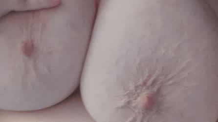 Big Tits Huge Tits Saggy Tits gif