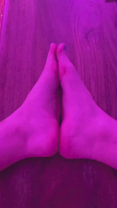 Domme Feet Fetish Feet Licking Feet Sucking Femdom Food Fetish Foot Licking Foot