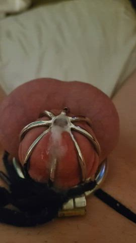 chastity cumshot small cock gif