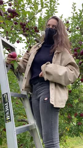 Apple orchards should be fun for all ages