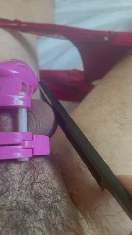 CBT Chastity Punishment gif