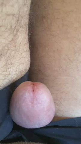 close up cock penis gif