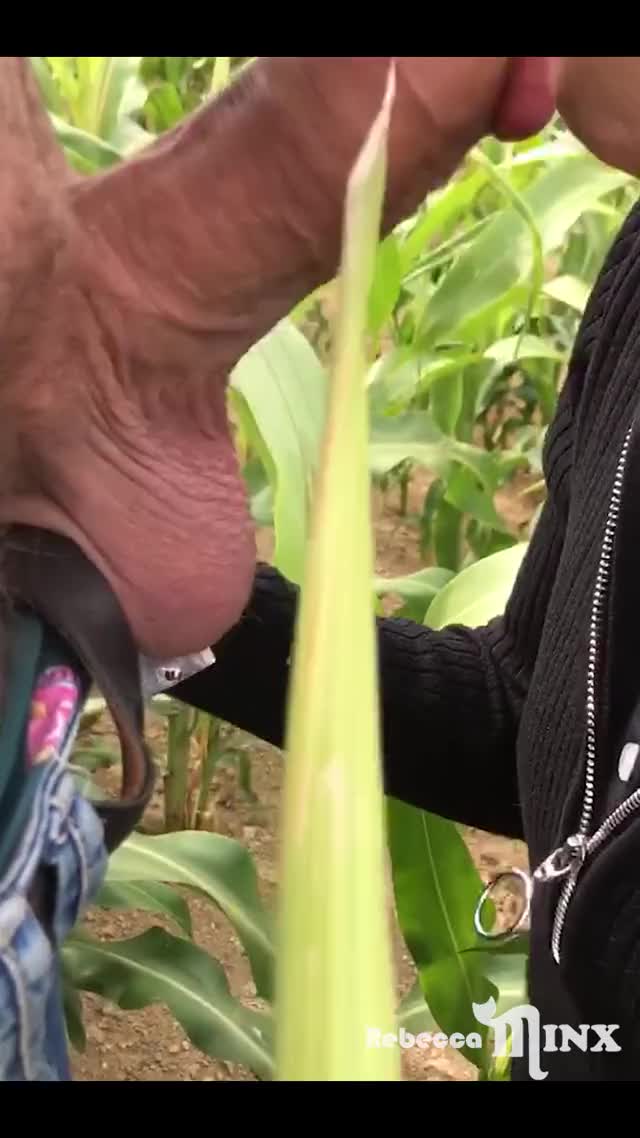 We had to do a (s)pit stop in the fields!