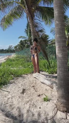 Beach Bikini Outdoor Public gif