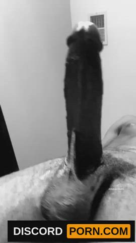 Amateur Ass BBC Booty Cumshot Doggystyle Squirting Teen TikTok gif