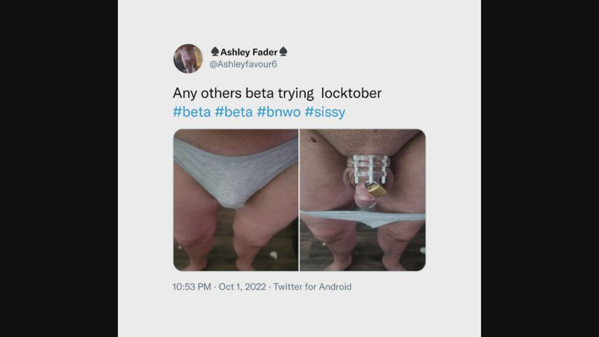 bbc caption chastity femboy femdom fetish interracial sissy r/sph gif