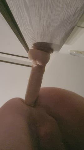 Amateur Anal Dildo Gay gif