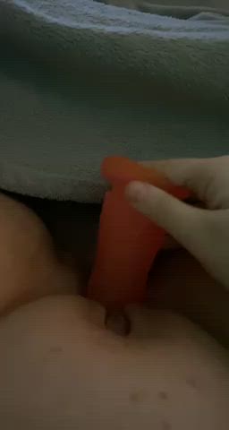 Dildo Masturbating Pussy gif