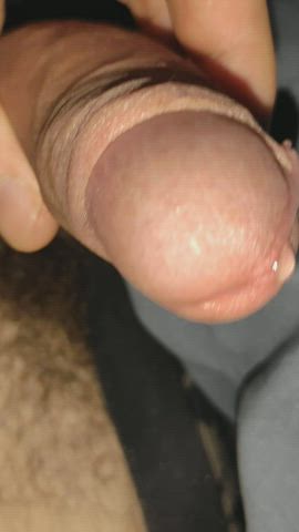 masturbating penis precum cock gif