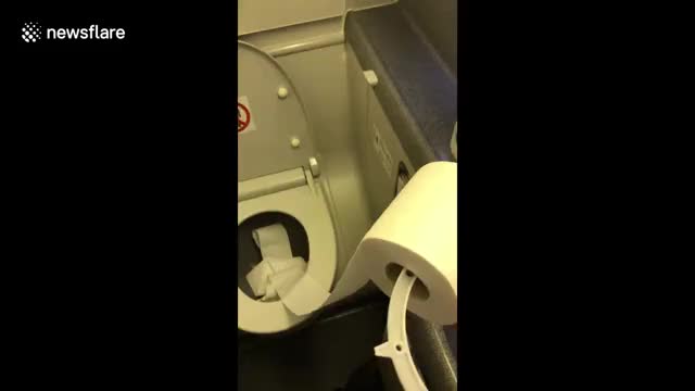 Boeing 737 plane's powerful toilet swallows toilet paper roll
