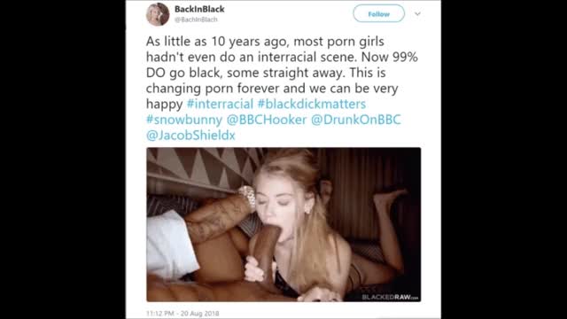 The Power of Interracial Porn ?