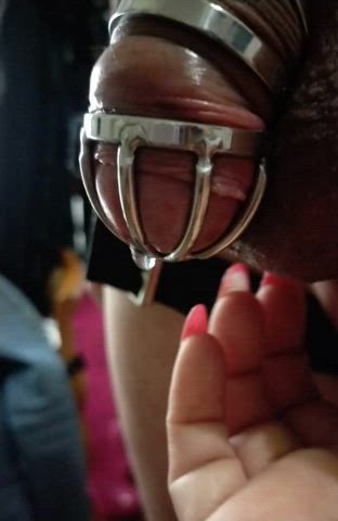 cfnm chastity mistress nails submissive gif